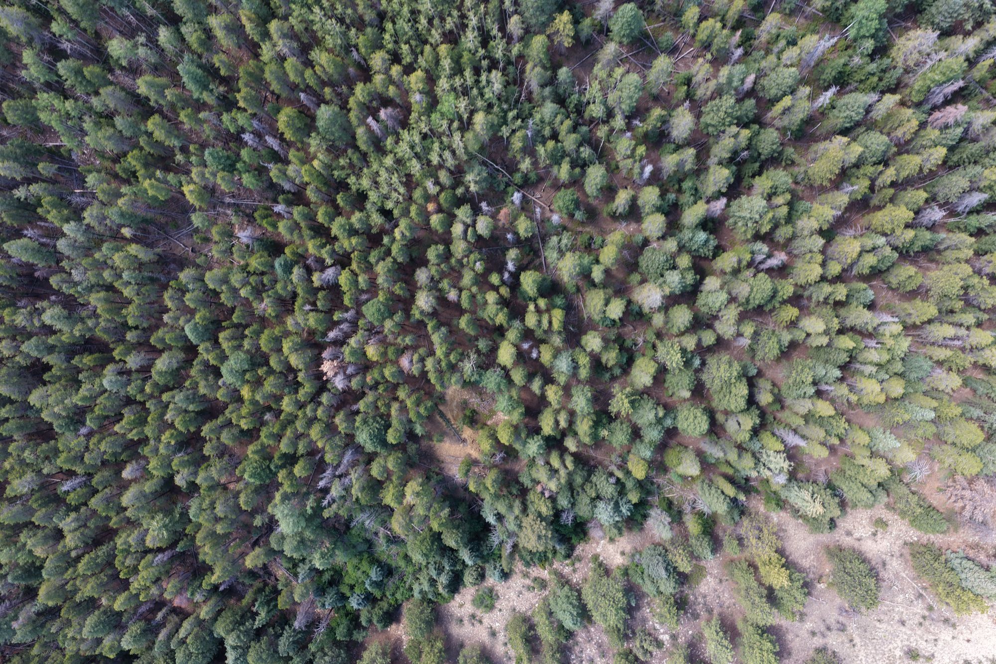Aerial drone photograph 140 of 206